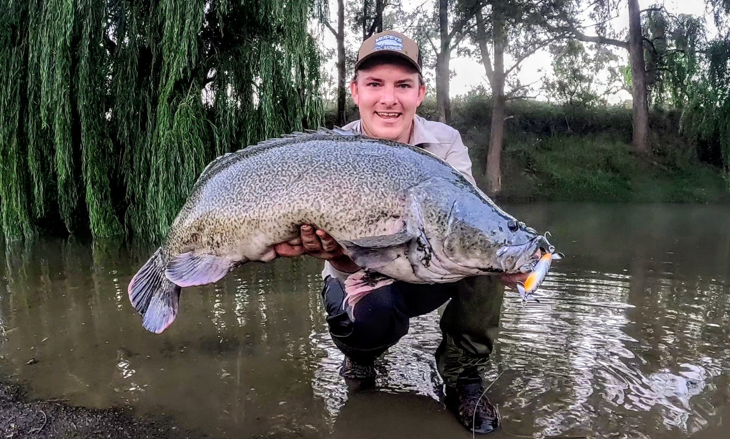 115mm Mudfizz (Presale)